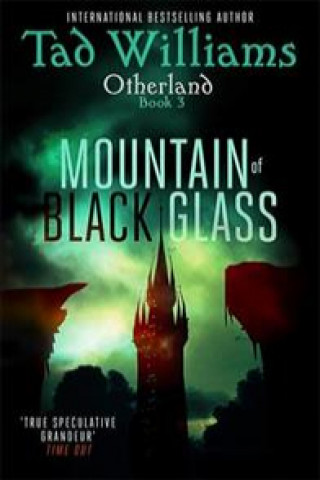 Книга Mountain of Black Glass Tad Williams