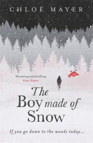 Kniha Boy Made of Snow Chloe Mayer