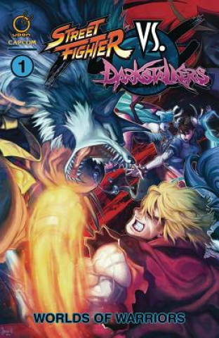Carte Street Fighter VS Darkstalkers Vol.1 Ken Siu-Chong