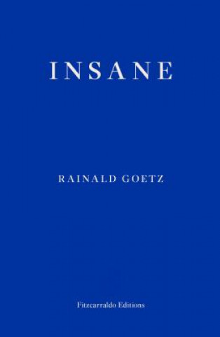 Книга Insane Rainald Goetz