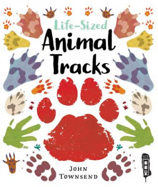 Carte Life-Sized Animal Tracks John Townsend