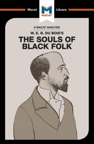 Kniha Analysis of W.E.B. Du Bois's The Souls of Black Folk Jason Xidias