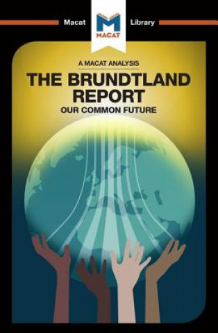 Buch Analysis of The Brundtland Commission's Our Common Future Ksenia Gerasimova