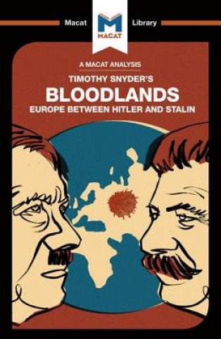 Könyv Analysis of Timothy Snyder's Bloodlands Helen Roche