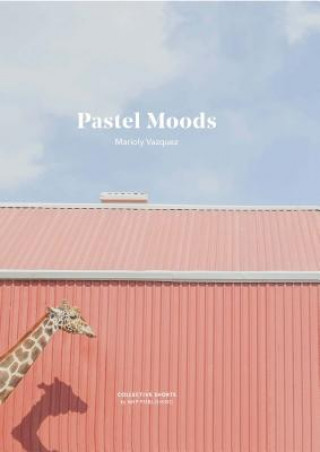 Knjiga PASTEL MOOD PALLETS VAZQUEZ  MARIA