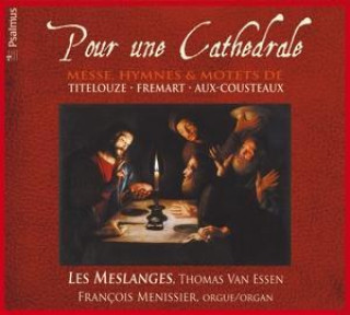 Audio Pour Une Cathedrale Thomas Van/Les Meslanges/Menissier Essen
