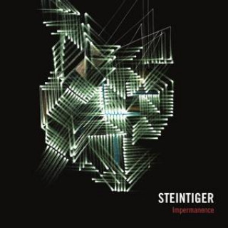 Zvok Impermanence Steintiger