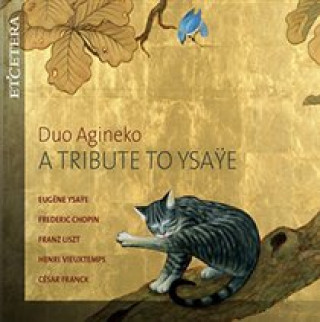 Zvok A Tribute To Ysaye Duo Agineko