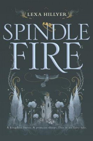 Boek Spindle Fire Lexa Hillyer