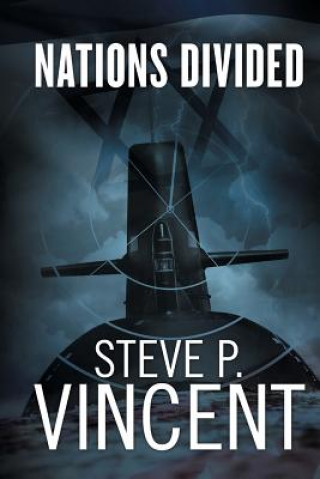 Buch Nations Divided Steve P. Vincent