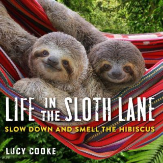 Book Life in the Sloth Lane Lucy Cooke
