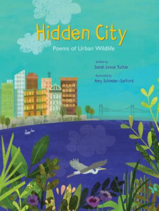 Boek Hidden City Sarah Grace Tuttle