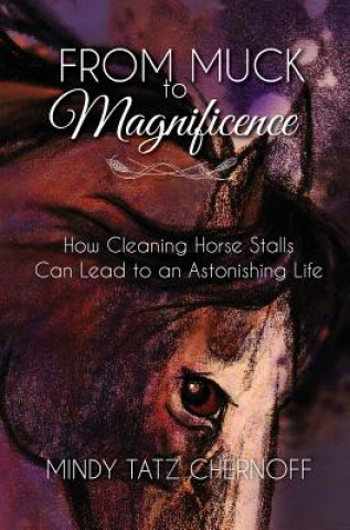 Livro From Muck to Magnificence Mindy Tatz Chernoff