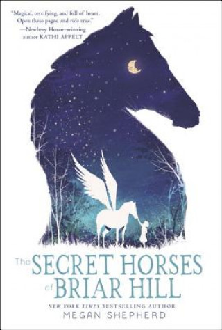 Książka Secret Horses of Briar Hill Megan Shepherd