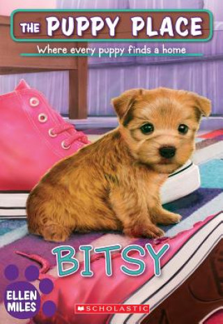 Kniha Bitsy (The Puppy Place #48) Ellen Miles