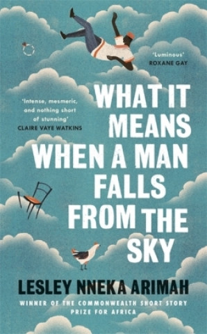 Kniha What It Means When A Man Falls From The Sky Lesley Arimah