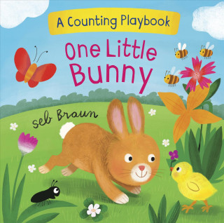 Könyv One Little Bunny: A Counting Playbook Seb Braun