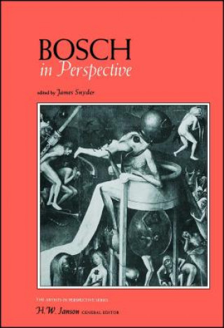 Buch Bosch in Perspective James Snyder