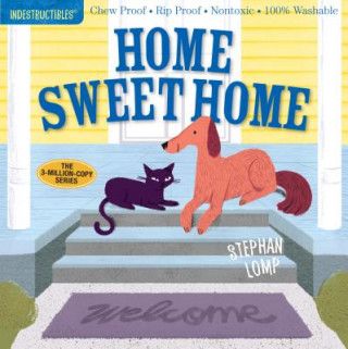 Könyv Indestructibles: Home Sweet Home Amy Pixton