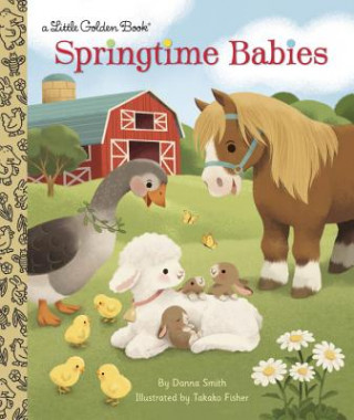 Kniha Springtime Babies Danna Smith