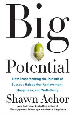 Kniha Big Potential Shawn Achor