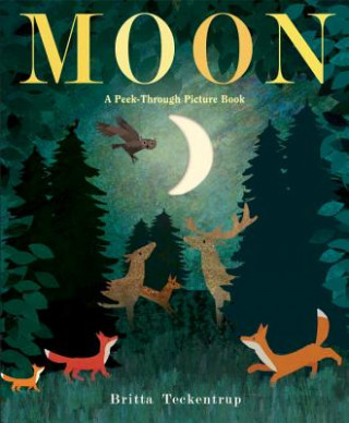 Livre Moon: A Peek-Through Picture Book Britta Teckentrup