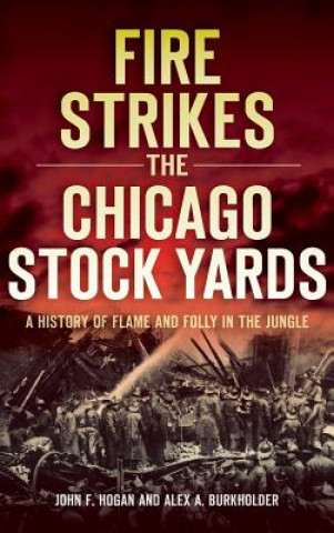 Könyv Fire Strikes the Chicago Stock Yards: A History of Flame and Folly in the Jungle John F. Hogan