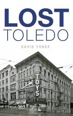 Kniha Lost Toledo David Yonke