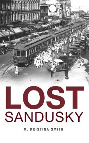 Buch Lost Sandusky M. Kristina Smith