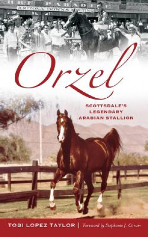 Knjiga Orzel: Scottsdale's Legendary Arabian Stallion Tobi Taylor