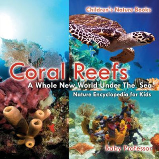 Carte Coral Reefs Baby Professor
