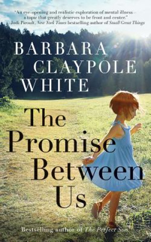 Audio The Promise Between Us Barbara Claypole White