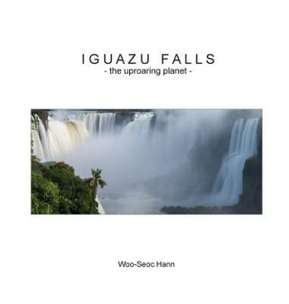 Könyv Iguazu Falls Woo-Seoc Hann