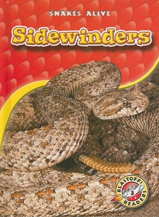 Boek Sidewinders Colleen Sexton