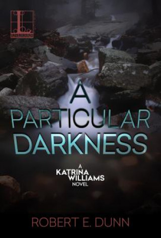 Kniha Particular Darkness, A Robert E. Dunn