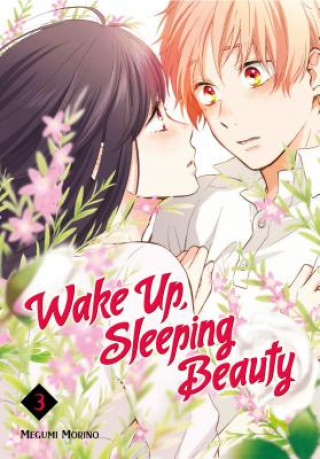 Kniha Wake Up, Sleeping Beauty 3 Megumi Morino