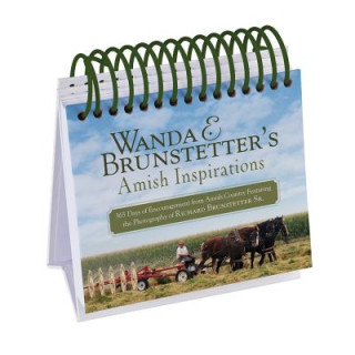 Kniha Wanda E. Brunstetter's Amish Inspirations Wanda E. Brunstetter