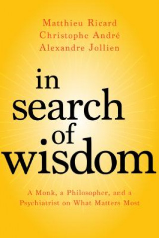 Kniha In Search of Wisdom Matthieu Ricard