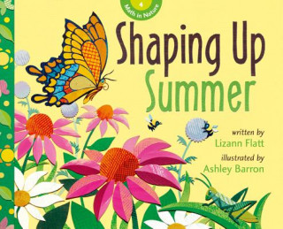 Book Shaping Up Summer Lizann Flatt