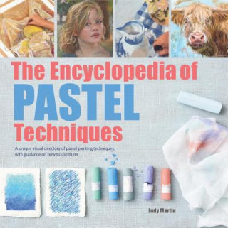 Livre Encyclopedia of Pastel Techniques Judy Martin