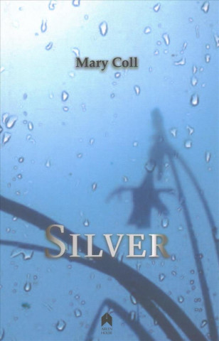 Kniha Silver Mary Coll