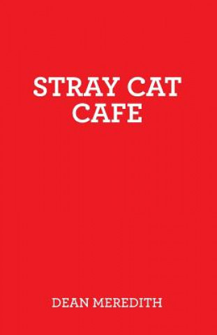Kniha Stray Cat Cafe Dean Meredith