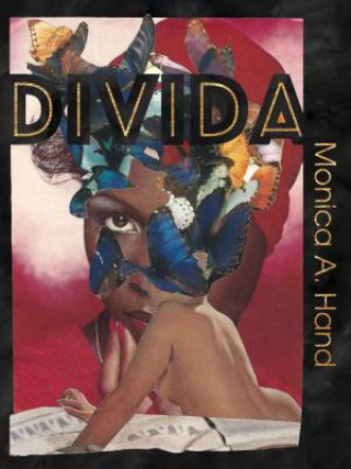 Libro Divida Monica A. Hand