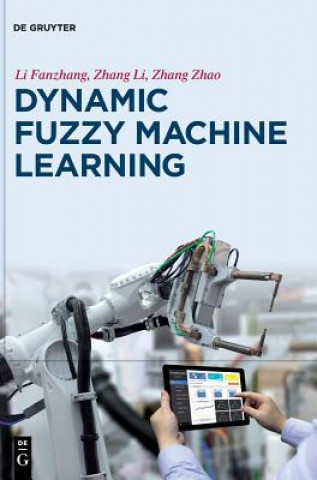 Книга Dynamic Fuzzy Machine Learning Fanzhang Li