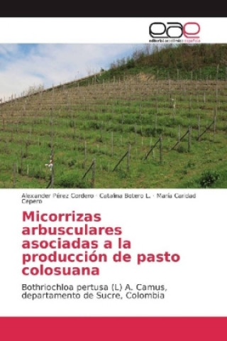 Könyv Micorrizas arbusculares asociadas a la producción de pasto colosuana Alexander Pérez Cordero