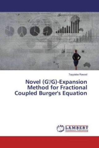 Kniha Novel (G'/G)-Expansion Method for Fractional Coupled Burger's Equation Tayyiaba Rasool