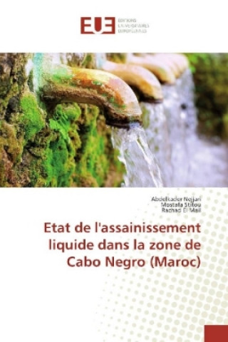 Carte Etat de l'assainissement liquide dans la zone de Cabo Negro (Maroc) Abdelkader Nejjari