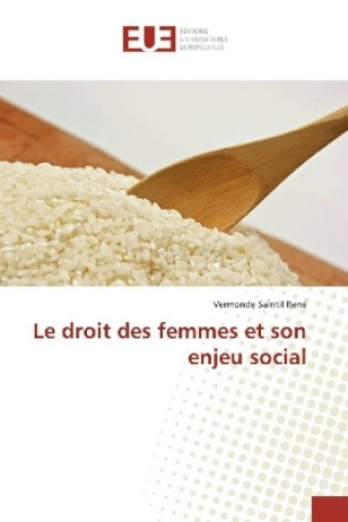 Kniha Le droit des femmes et son enjeu social Vermonde Saintil René