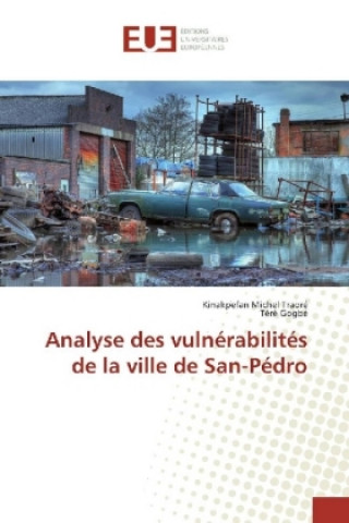 Buch Analyse des vulnérabilités de la ville de San-Pédro Kinakpefan Michel Traoré