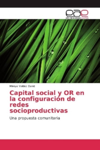 Carte Capital social y OR en la configuración de redes socioproductivas Mireya Valdez David